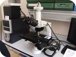 CIAPA. Área Investigación. IRIAF
