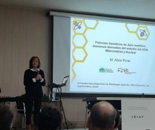 CIAPA. Jornada de Investigación Apícola. IRIAF