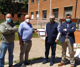 La Federación Madrileña de Galgos