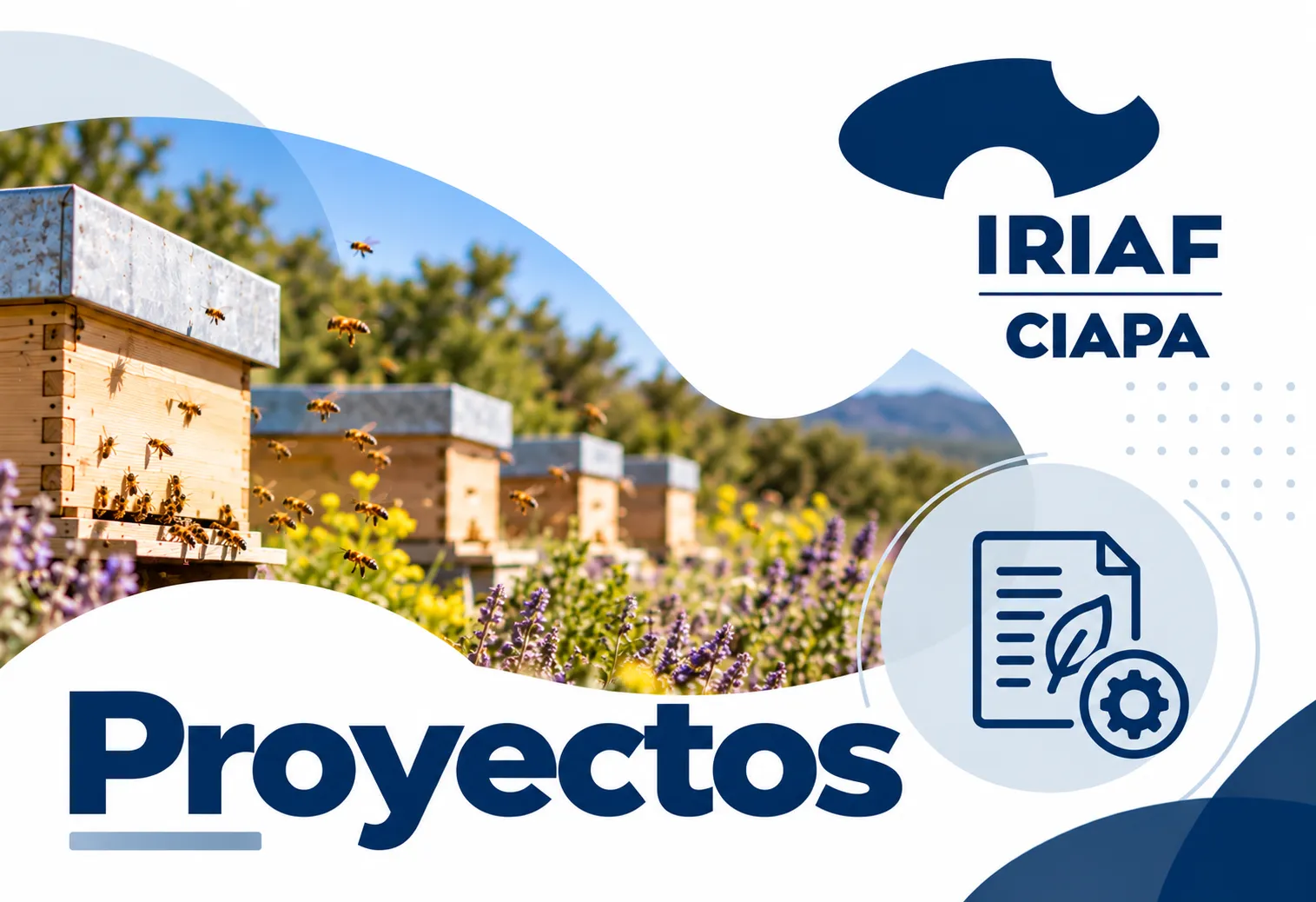 Proyectos CIAPA